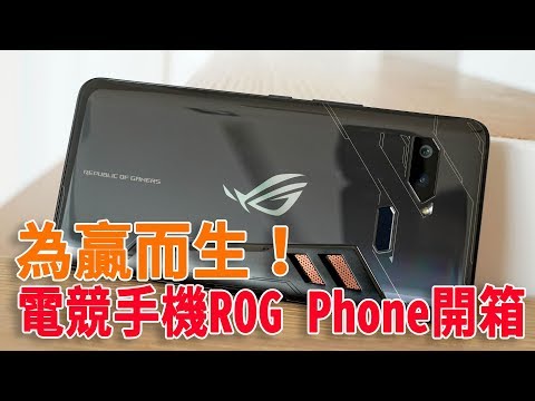       ROG Phone       