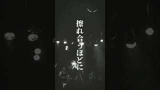 レコ発ツアー「幕開旅行」開幕!! #laccotower #ラッコタワー #邦ロック #歌詞動画 #japanesemusic #japaneserock