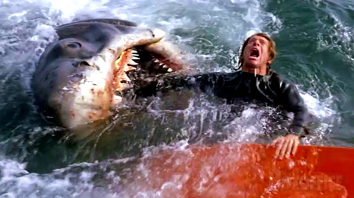 Mauvaise blague, le requin est bien RÉEL | Les Dents de la mer | Extrait VF