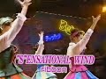 ribbon - "S"ENSATIONAL WIND / リボン - センセーショナルウインド (1992年)