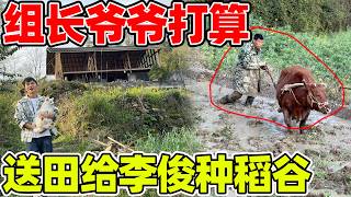 组长爷爷打算把田送给李俊种稻谷，四年前就是组长爷爷介绍房主卖房给李俊的，时间仿佛又回去了
