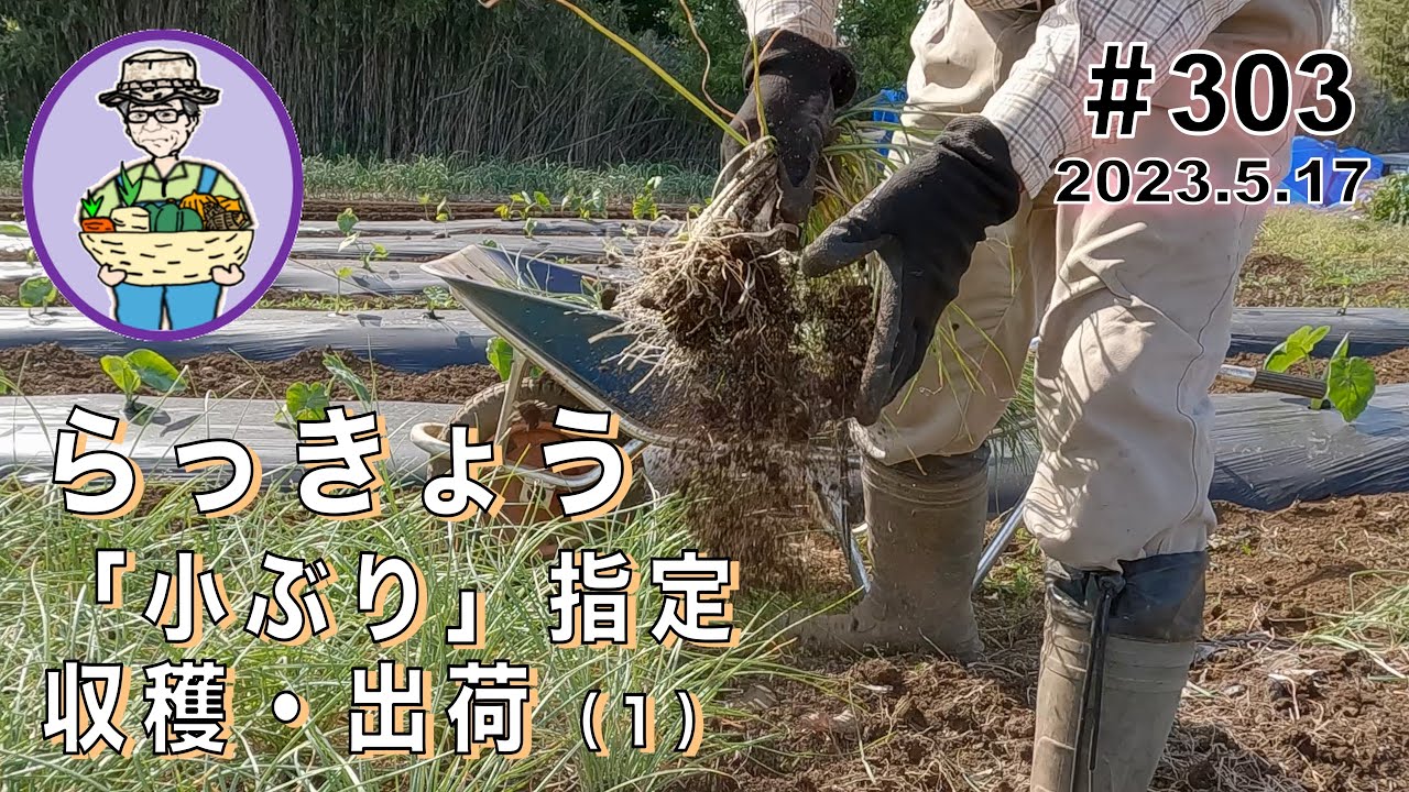 The harvest of 
