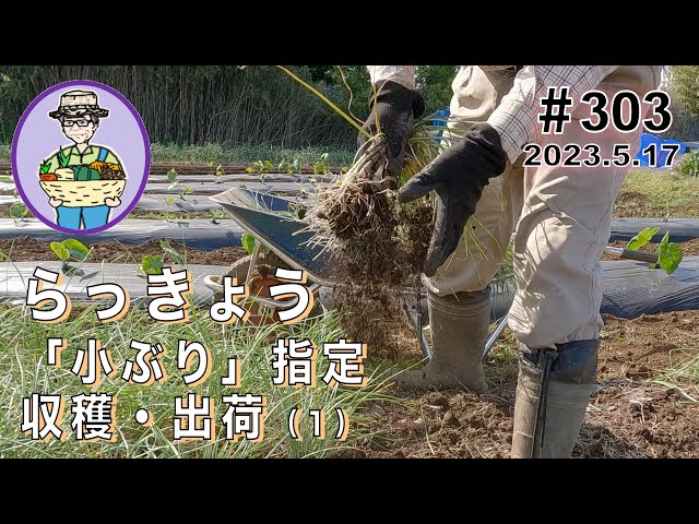 The harvest of 