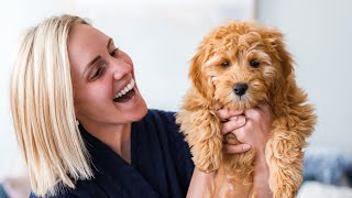 We Got A New Goldendoodle PUPPY! 🐶 | Ellie and Jared