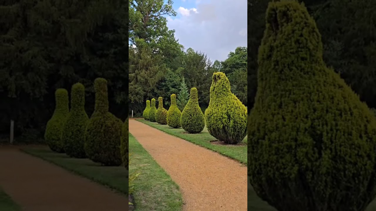 Walk Around Hylands House Pleasure Garden