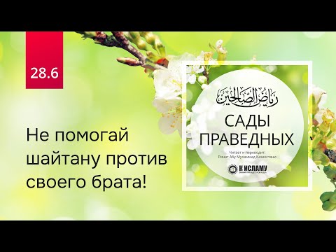 28.6 Не помогай шайтану против своего брата! Хадис 243 | Сады праведных