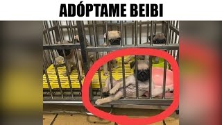 MEMES EPICOS #166