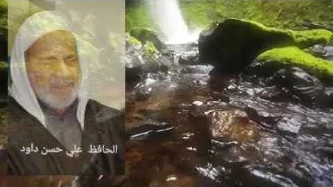 الحافظ علي حسن داود سورة يس ( مرتل)