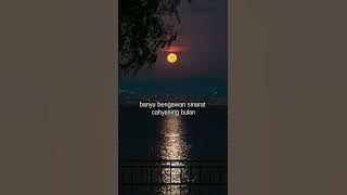 Taman Jurug lyric - Amelia | fyp tiktok