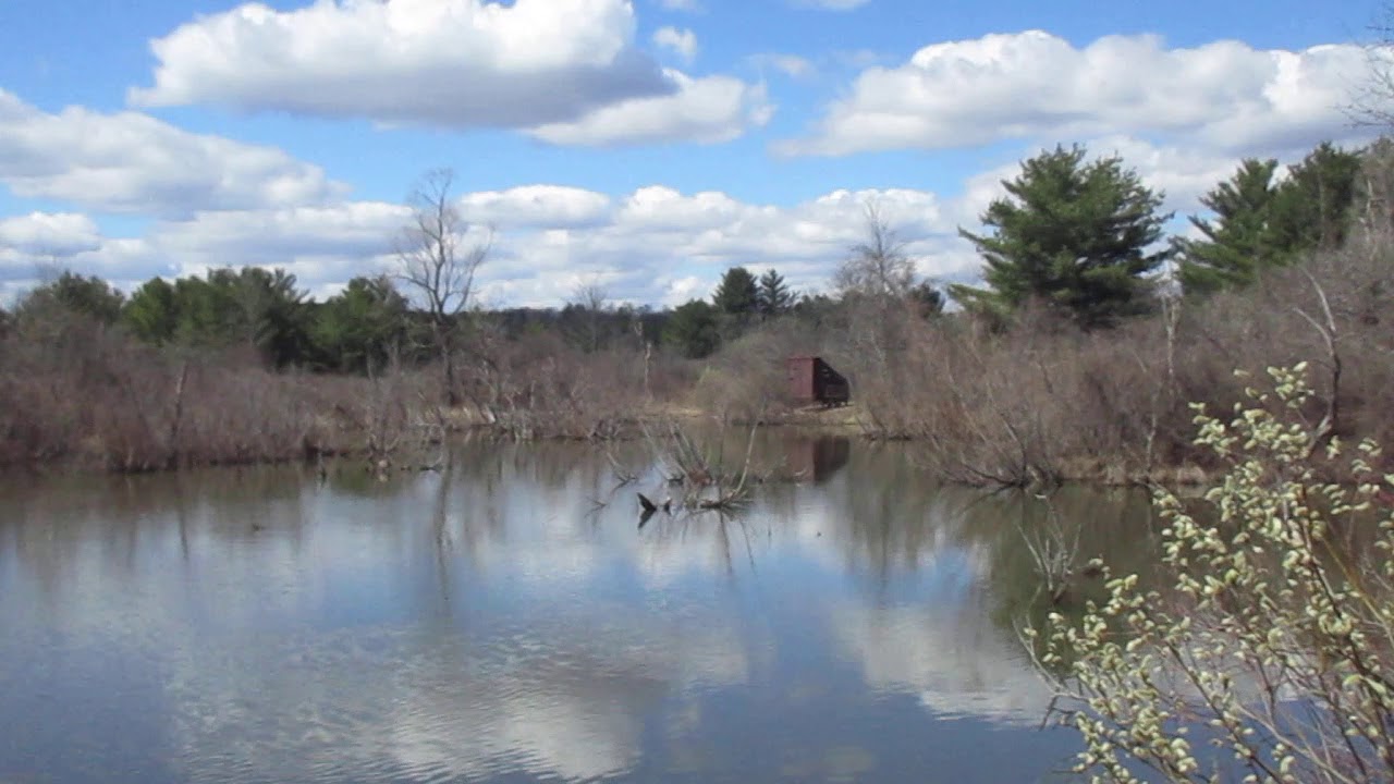 Springtime at Five Rivers