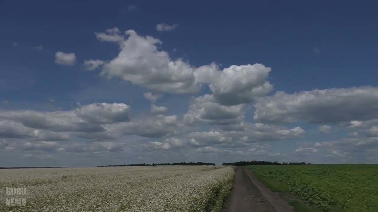 По дороге с облаками к гречишным полям.