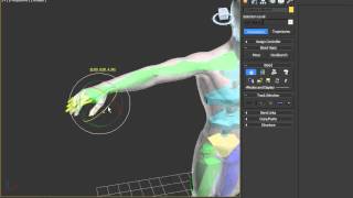 Part 2. Adjust Biped to Character in 3DS Max. Rigging