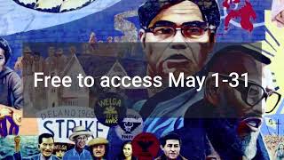 Explore The Asian American Experience Database