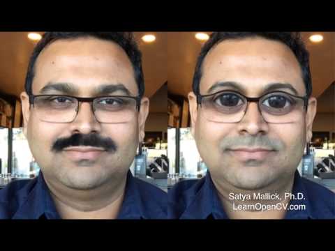 Computer Vision for Faces ( http://courses.learnopencv.com )