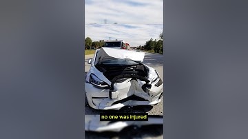 Tesla Autopilot Takes the Hit to Avoid Pedestrian
