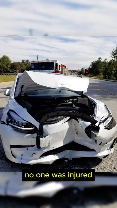 Tesla Autopilot Takes the Hit to Avoid Pedestrian