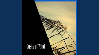 Soft Steady Wind