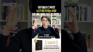 의미 없는 논쟁이 뇌를 망가뜨립니다