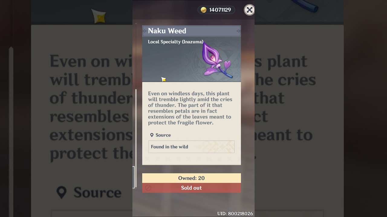 You can buy Naku Weed in Groceries Store -Genshin Impact Inazuma