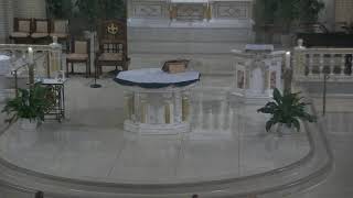 Daily Mass