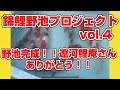 【錦鯉野池プロジェクトvol.4】野池完成！遼河鯉庵さんありがとう！！