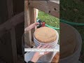 Apple Season Is Comming!