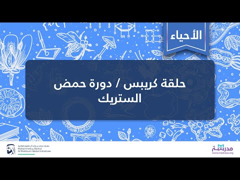 حلقة كريبس / دورة حمض الستريك | الأحياء | التنفس الخلوي