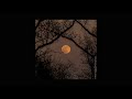 Eleanor Rigby The Beatles Slowed Reverb 