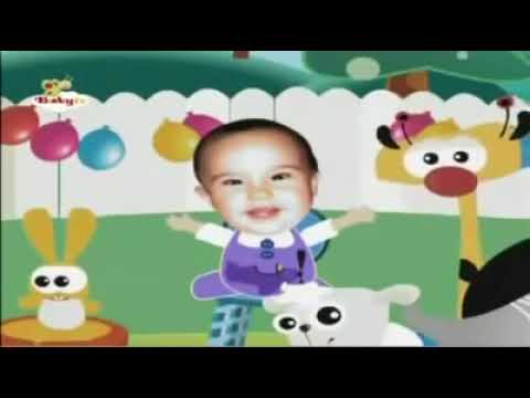 Babytv Robin Birthday