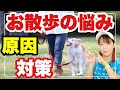 【犬 お散歩の悩み】引っ張る・歩かない 原因と対策を知ってトレーニングしましょう！