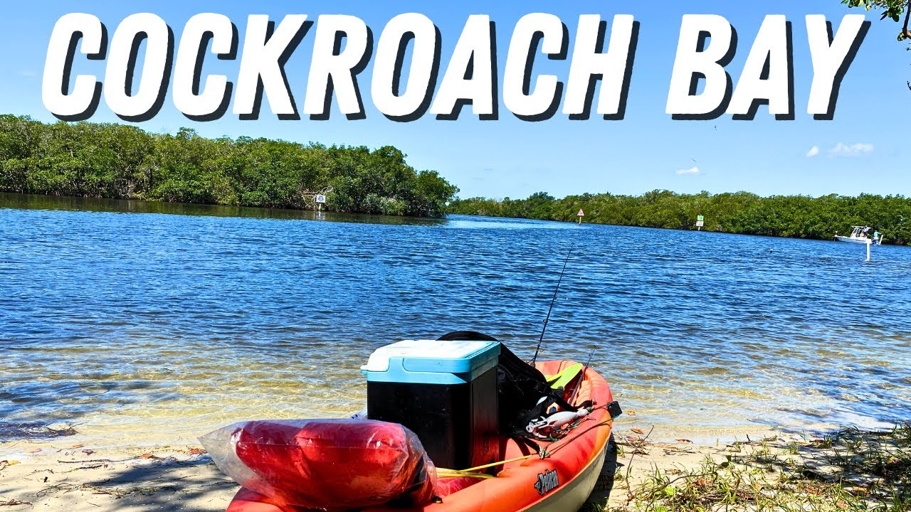 Cockroach Bay, Ruskin Fl YouTube