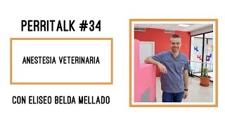 Cómo funciona la anestesia en los perros, Perritalk#34 con Eliseo Belda Perrhijos