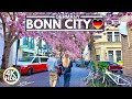 🌸 2024 Pretty Cherry Blossoms in Bonn Germany, Full Bloom - 4K HDR Walking Tour