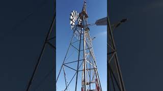My job - Setting a new wind mill on a water well. They're so oily and intensive with labor 🏆