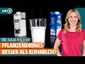 Besser als milch so gesund sind hafermilch mandelmilch und co  dr julia fischer  ard gesund