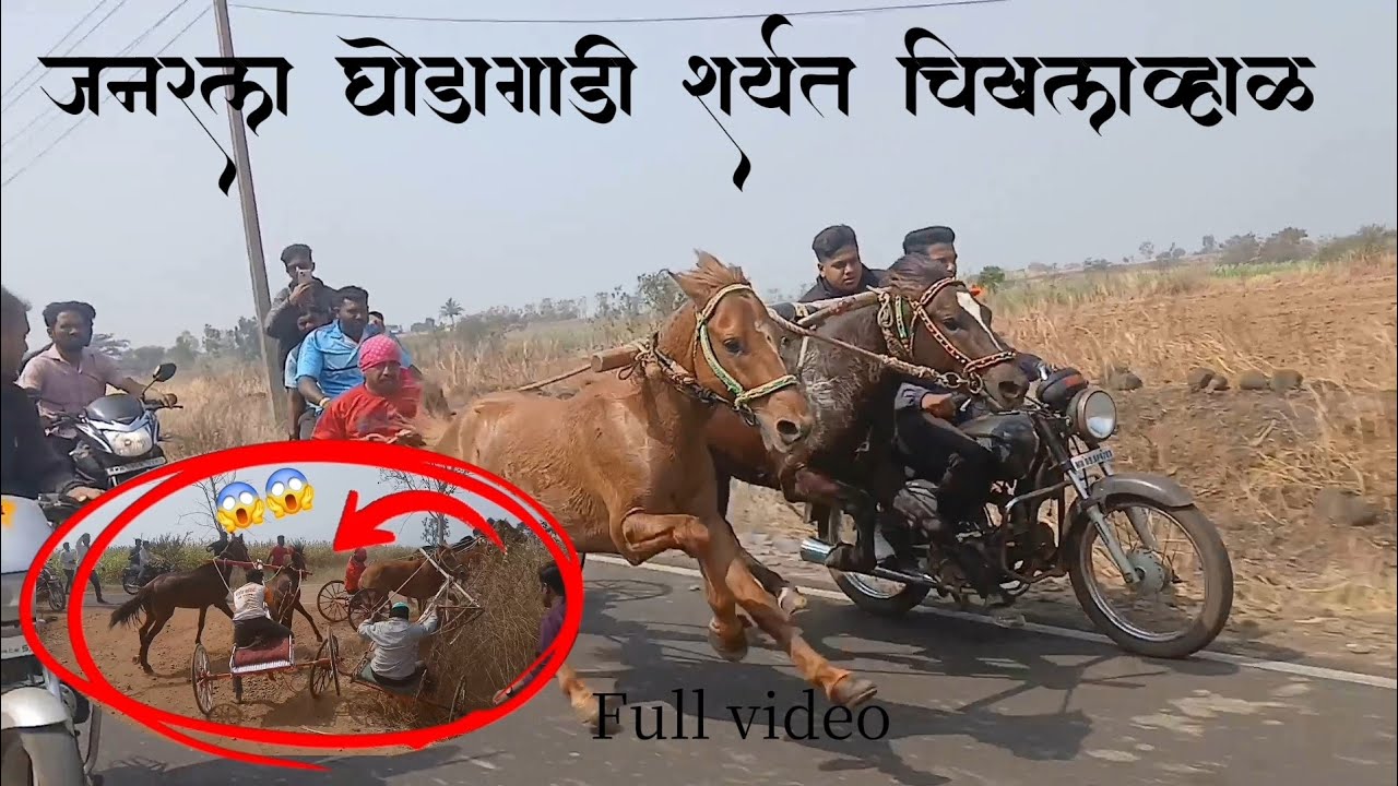 जनरल घोडागाडी शर्यत (चिखलव्हाळ)🚩