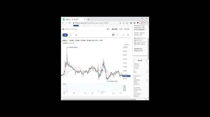 새비디오 만들기000590지주사 관련주 CS홀딩스 1분 분석