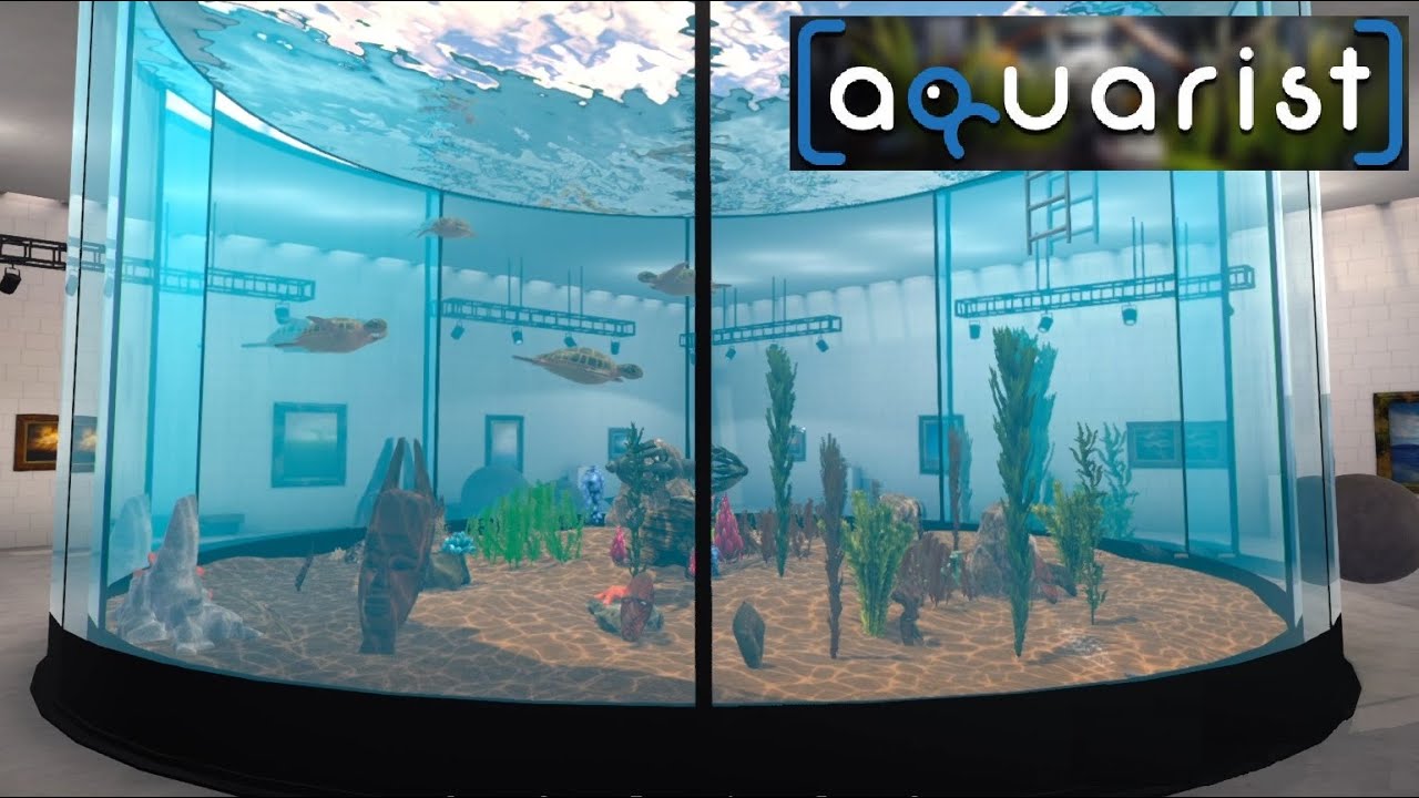 Turtle Art Exabit & Upgrading Our Aquarium ~ Aquarist