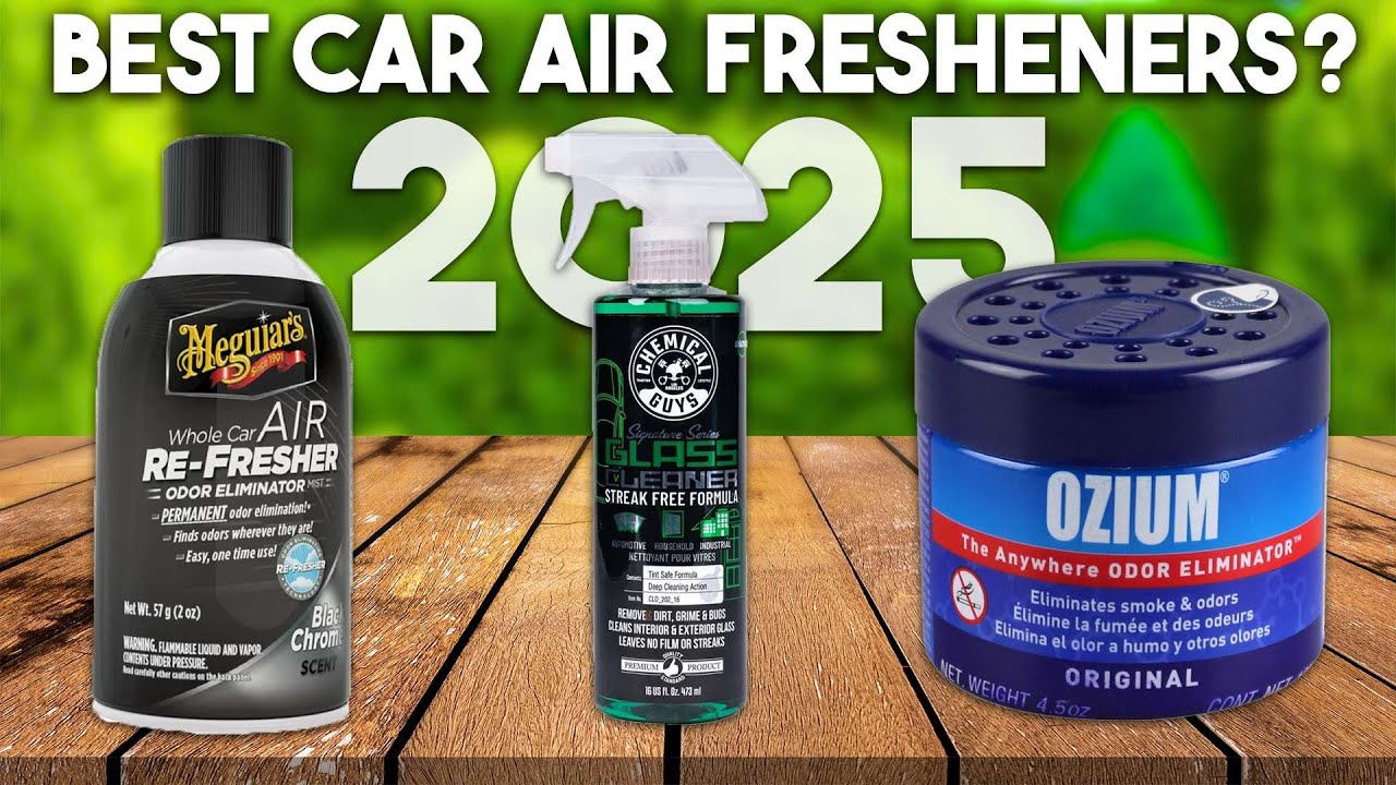 6 Best Car Air Fresheners 2025