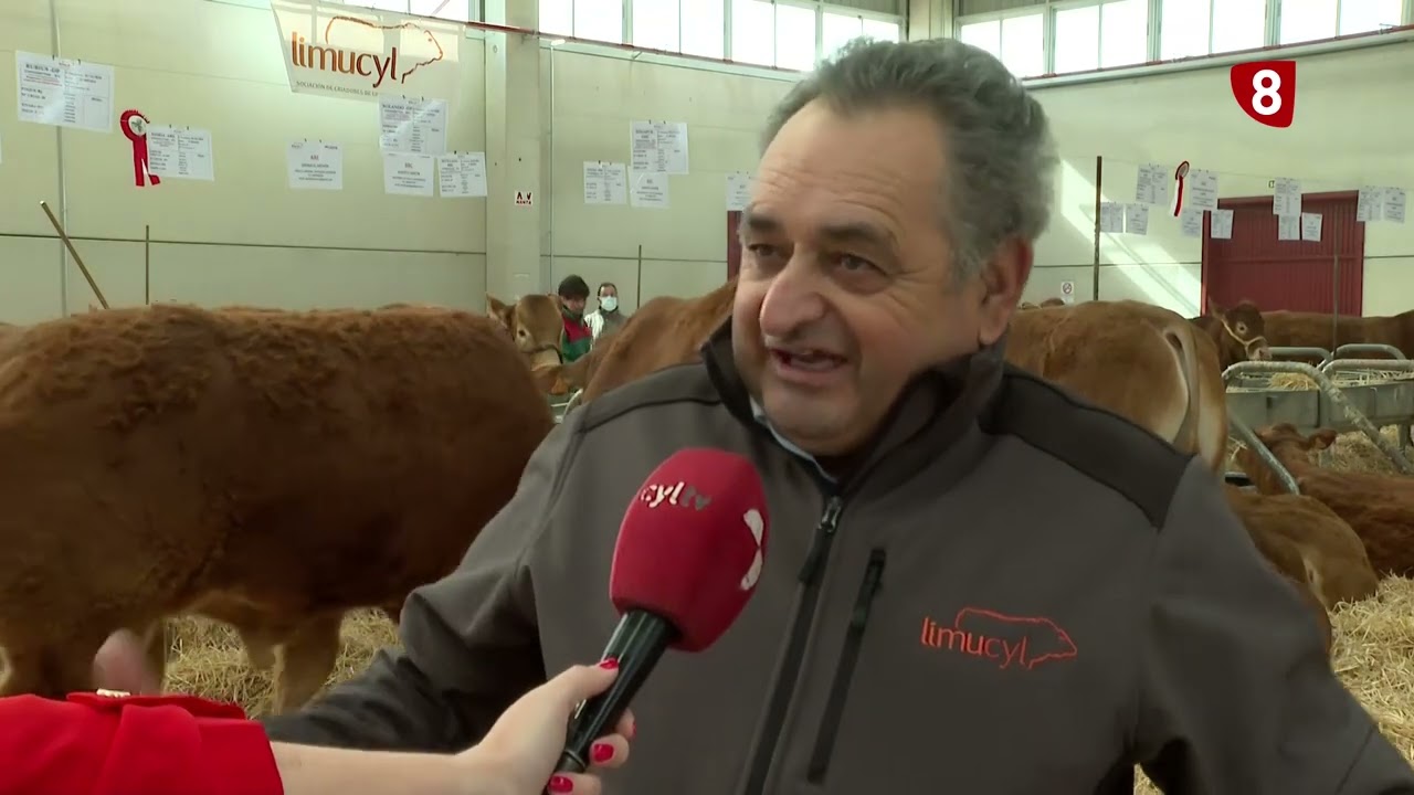 RESUMEN SALÓN DEL VACUNO- Salamanca 2022