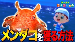 Animal Crossing: New Horizons] How to catch the deep sea idol