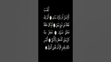 تلاوة هادئة من سورة القيامة الشيخ ماهر المعيقلي