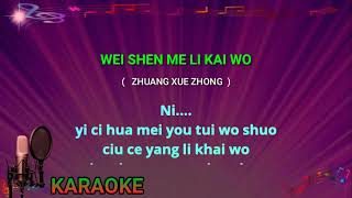 Wei shen me li kai wo - karaoke no vokal ( zhuang xue zhong ) cover to lyrics pinyin