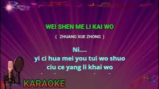 Wei shen me li kai wo - karaoke no vokal ( zhuang xue zhong ) cover to lyrics pinyin