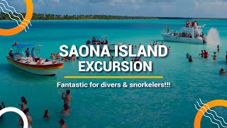 Saona Island Excursion With Dressel Divers: Scuba diving and Snorkeling in Saona Island