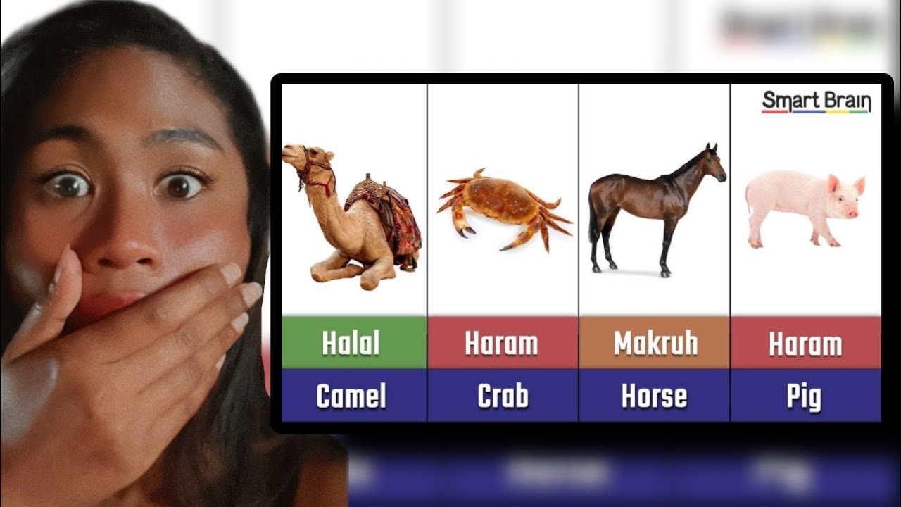 Halal and Haram animal meat in Islam | Reaction