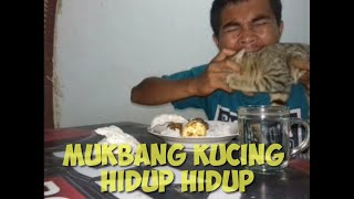 Mukbang kucing hidup hidup