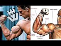 Brutal Arms Workout (Biceps/Triceps Dumbbell Only)