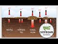 Soybean School: To till or not to till
