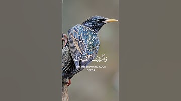 المال والبنون زينة الحياة الدنيا|سورة الكهف|القارئ ماهر المعيقلي|